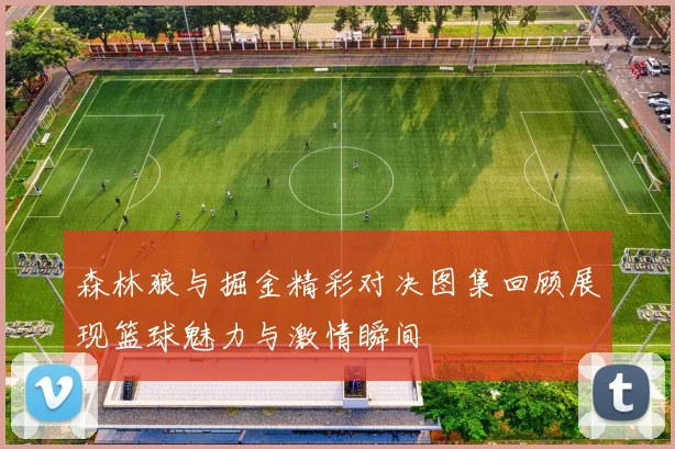 森林狼与掘金精彩对决图集回顾展现篮球魅力与激情瞬间
